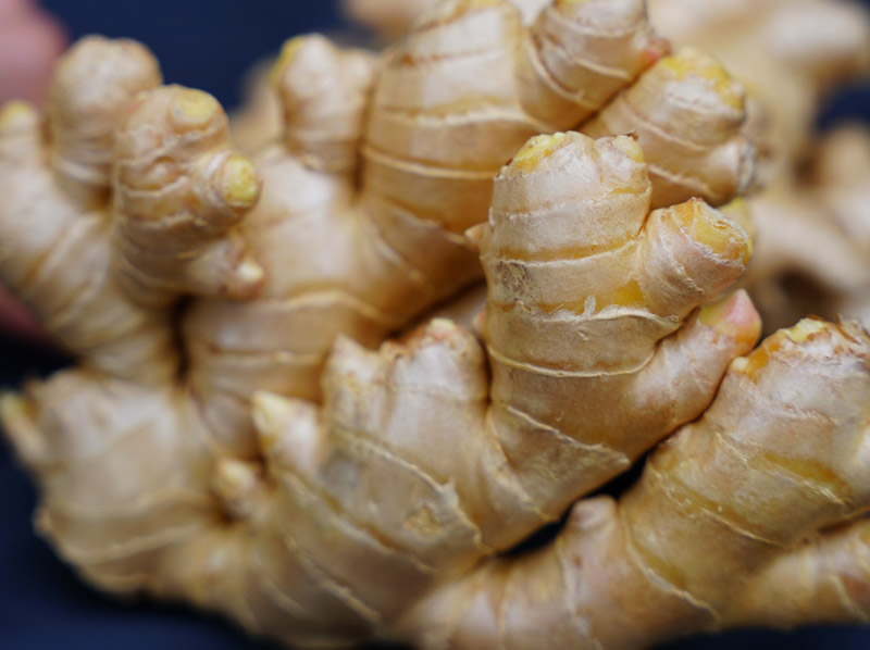 Ginger production in Peru